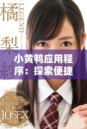 小黃鴨應(yīng)用程序：探索便捷生活服務(wù)的新平臺(tái)與功能解析