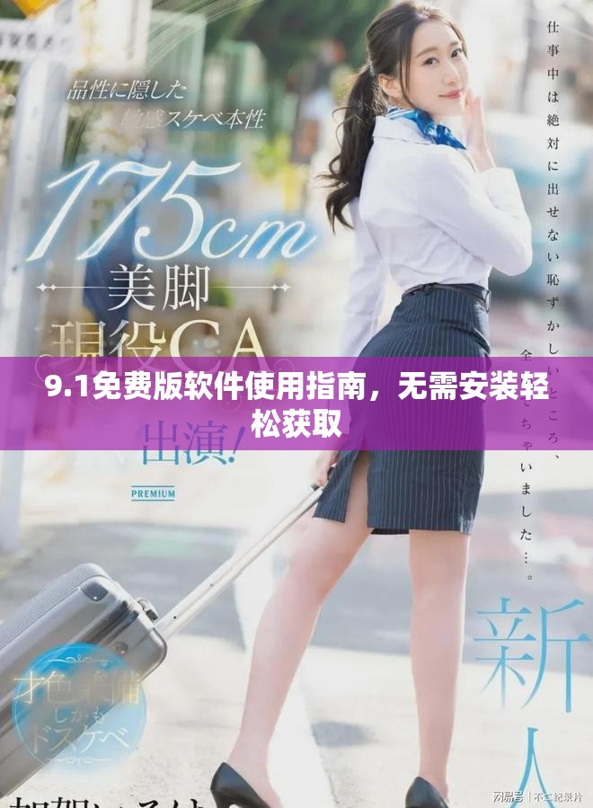 9.1免費(fèi)版軟件使用指南，無需安裝輕松獲取