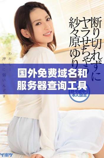 國外免費(fèi)域名和服務(wù)器查詢工具推薦及使用指南