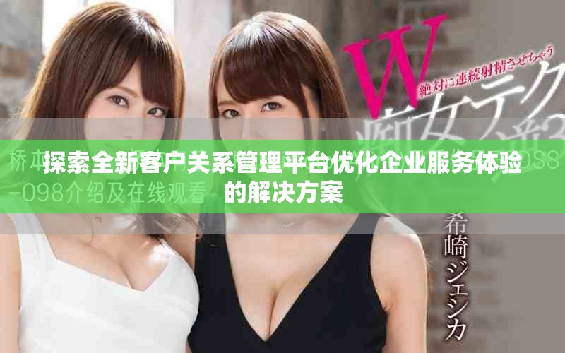 探索全新客戶關系管理平臺優(yōu)化企業(yè)服務體驗的解決方案