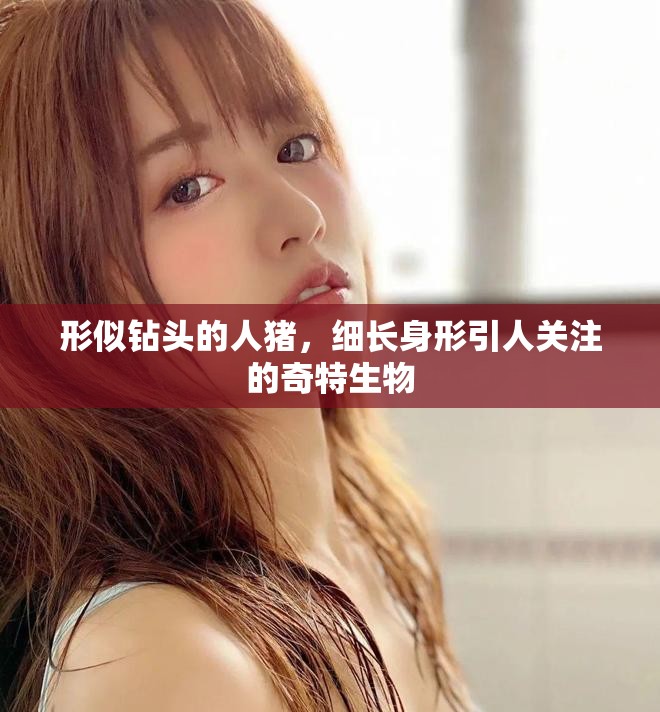 形似鉆頭的人豬，細(xì)長身形引人關(guān)注的奇特生物