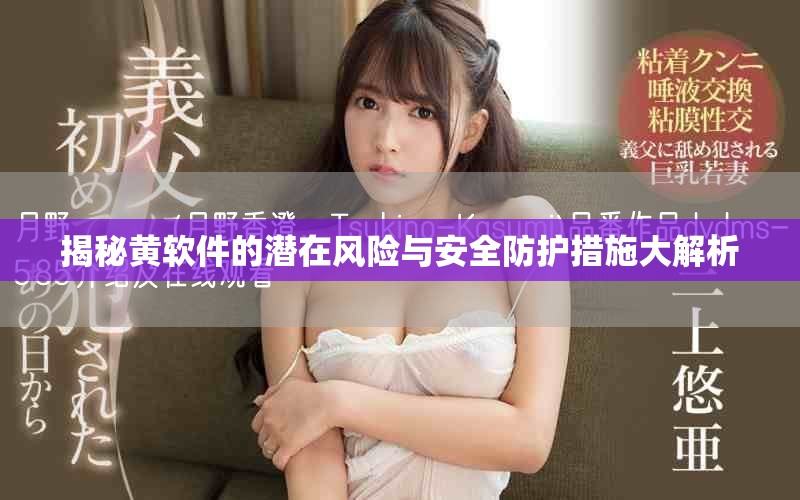 揭秘黃軟件的潛在風(fēng)險與安全防護(hù)措施大解析