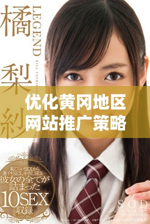 優(yōu)化黃岡地區(qū)網站推廣策略的有效方法與技巧分享
