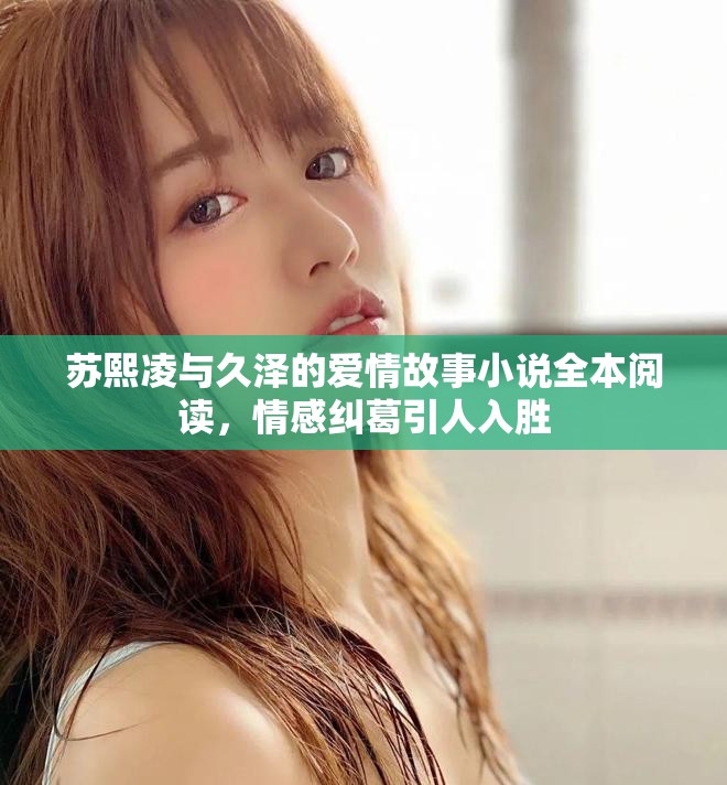 蘇熙凌與久澤的愛(ài)情故事小說(shuō)全本閱讀，情感糾葛引人入勝