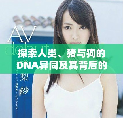 探索人類、豬與狗的DNA異同及其背后的科學(xué)意義