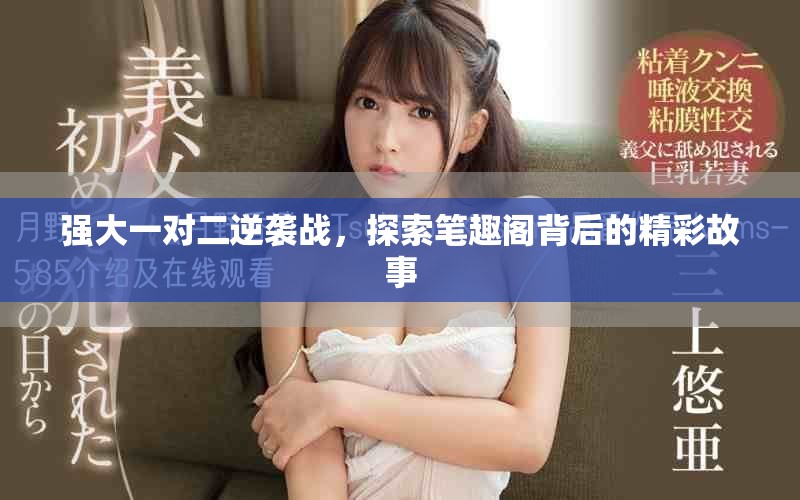 強大一對二逆襲戰(zhàn)，探索筆趣閣背后的精彩故事