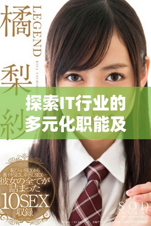 探索IT行業(yè)的多元化職能及其對現代社會的影響