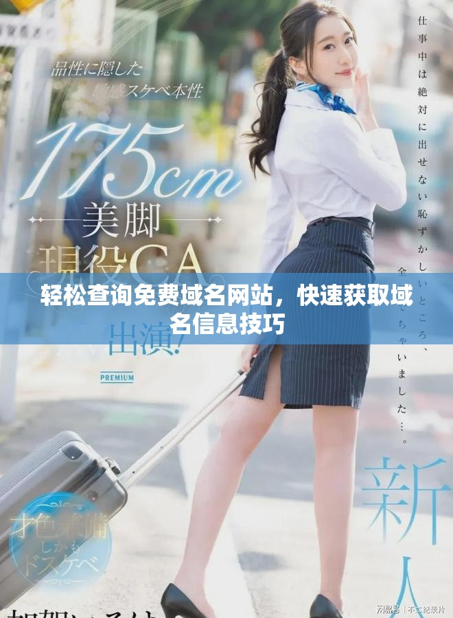 輕松查詢免費(fèi)域名網(wǎng)站，快速獲取域名信息技巧
