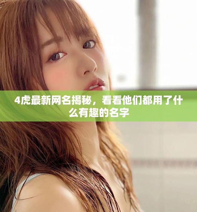 4虎最新網(wǎng)名揭秘，看看他們都用了什么有趣的名字