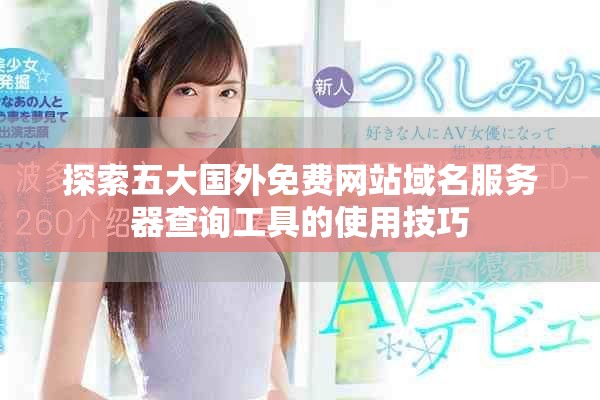 探索五大國外免費(fèi)網(wǎng)站域名服務(wù)器查詢工具的使用技巧