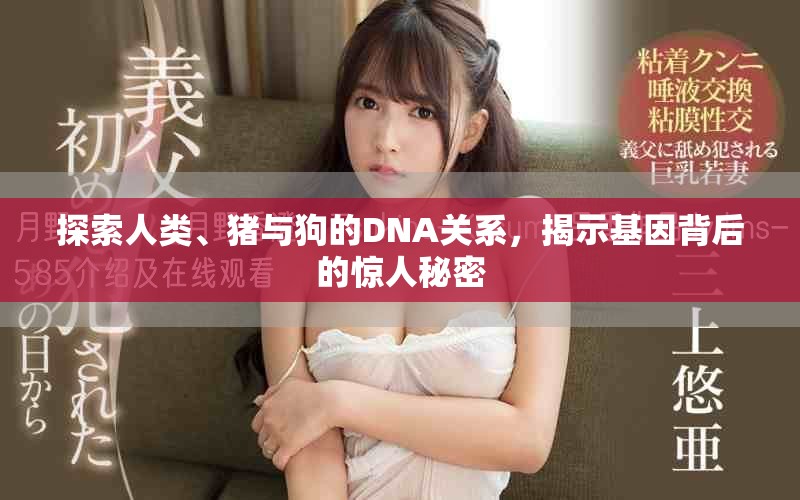 探索人類、豬與狗的DNA關(guān)系，揭示基因背后的驚人秘密