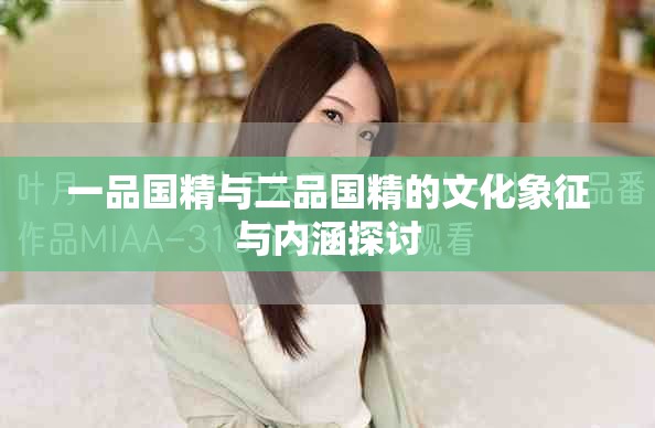 一品國(guó)精與二品國(guó)精的文化象征與內(nèi)涵探討