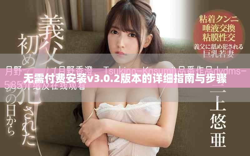 無需付費(fèi)安裝v3.0.2版本的詳細(xì)指南與步驟